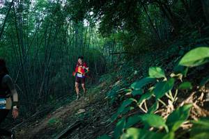 BIB: 
                            <button type="button" onclick="openModal(28124501)" class="btn btn-primary btn-sm float-right btn-popup" data-toggle="modal" data-target=".modal-high-quality">
                        <i class="fas fa-shopping-cart"></i> Add to Cart
                    </button>
                                            <button type="button" onclick="isThisMe(28124501, true)" class="btn btn-success btn-sm float-right btn-popup btn-isme hidden" data-toggle="tooltip" data-placement="bottom" title="นี่คือรูปของคุณใช่ไหม คลิกที่นี่เพื่อเอาเข้าอัลบั้ม">
                        <i class="fas fa-plus"></i> Add to album
                    </button>
                    <button type="button" onclick="isThisMe(28124501, false)" class="btn btn-warning btn-sm float-right btn-popup btn-isnotme hidden">
                        <i class="fas fa-ban"></i> Remove from album
                    </button>